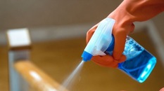 Carpet Cleaning